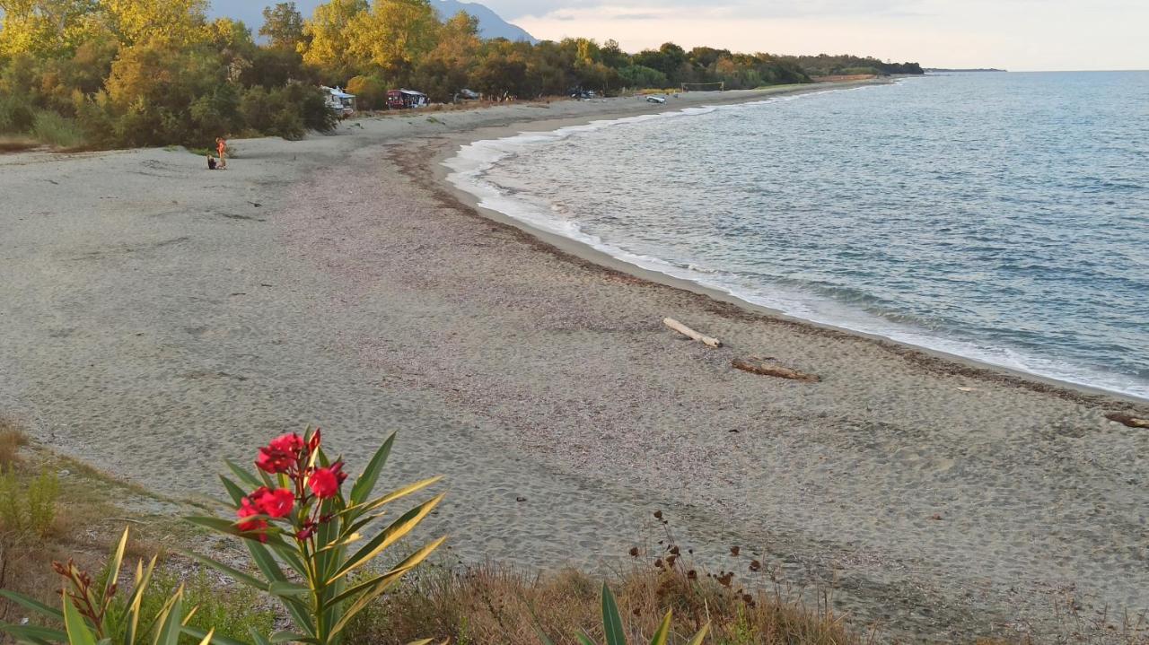 Les Jardins De La Mer Marine De Bravone - 2 Chambres A Lit Plus Sofa Avec Piscine A Cote Mer Лингиццета Экстерьер фото